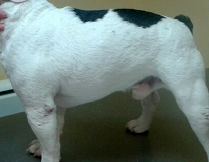 despues del tratamiento